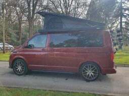 Volkswagen T6.1 full