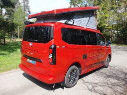 Ford Landseer 2.0 full
