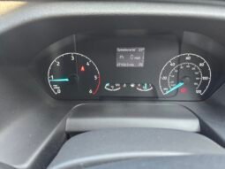Ford Landseer full