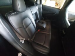 Tesla Model Y full